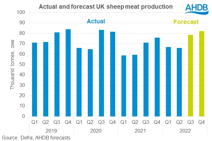 sheep meat production forecast 2022